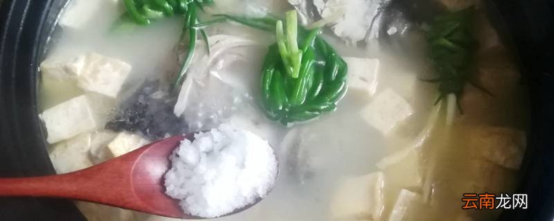 白豆腐鱼头汤怎么做