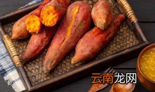 红薯发芽了怎么种 红薯发芽了怎么种植