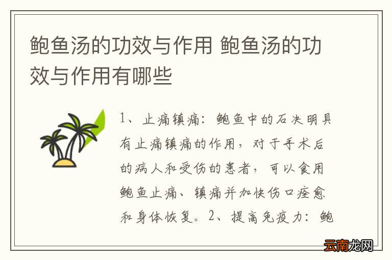 鲍鱼汤的功效与作用 鲍鱼汤的功效与作用有哪些