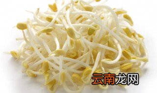 发芽了的黄豆怎么种 黄豆怎么发芽