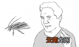 屋里有蟑螂有什么办法可以消除 屋里有蟑螂怎么办