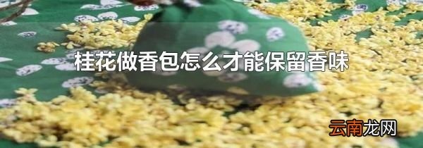 桂花做香包怎么才能保留香味