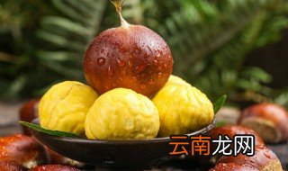 栗子发芽了怎么种能结果吗，栗子发芽了怎么种
