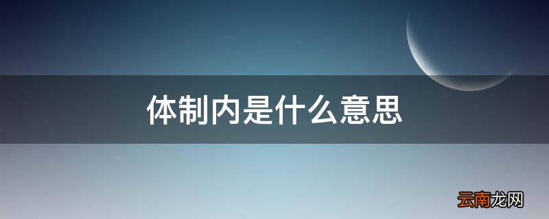 体制内是什么意思