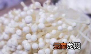 如何养金针菇 养护金针菇方法