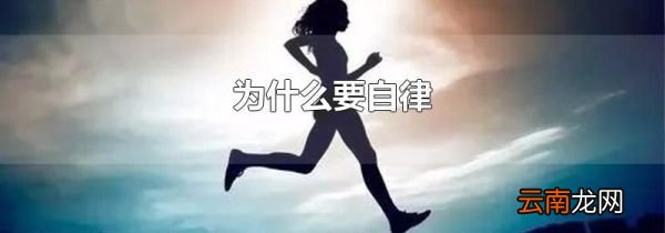 为什么要自律