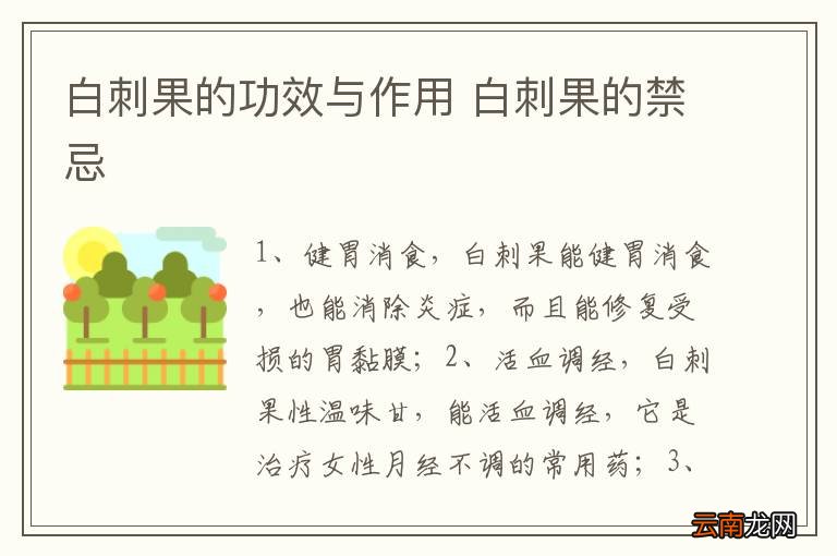 白刺果的功效与作用 白刺果的禁忌