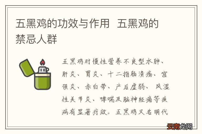 五黑鸡的功效与作用五黑鸡的禁忌人群