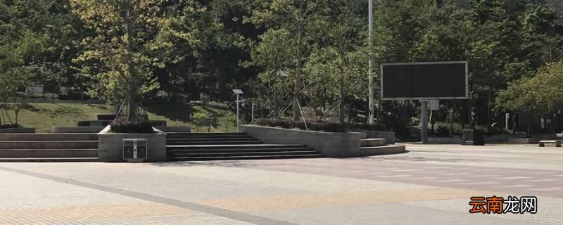 坂田和黄金山公园有单杠吗