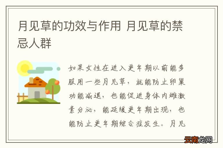 月见草的功效与作用 月见草的禁忌人群