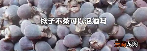 捻子不蒸可以泡酒吗