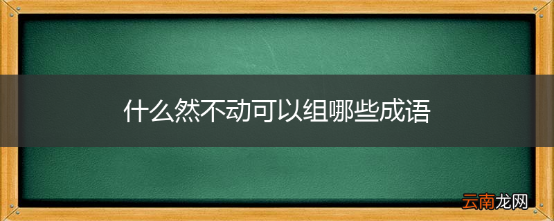 什么然不动可以组哪些成语