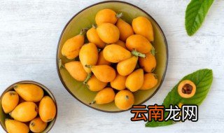 枇杷能放冰箱冷藏吗 枇杷能放冰箱冷藏吗?