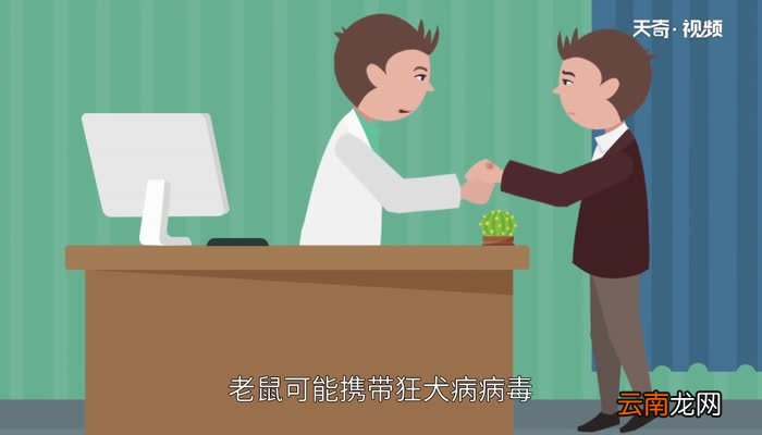 老鼠会咬人吗 老鼠怕什么