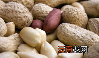 卤花生米怎么做 卤花生米怎么做才酥脆