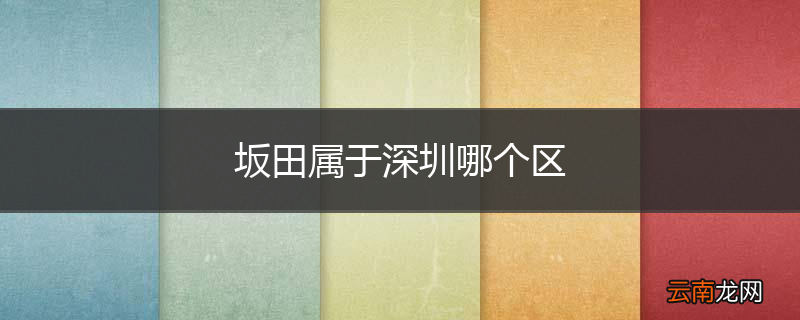 坂田属于深圳哪个区