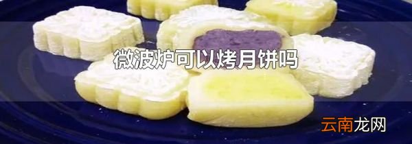 微波炉可以烤月饼吗