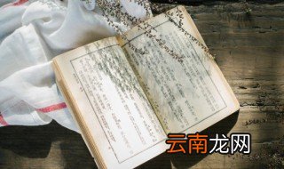 巳组词 巳组词有哪些
