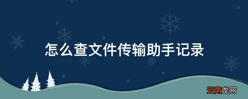 怎么查文件传输助手记录