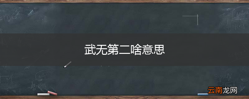 武无第二啥意思