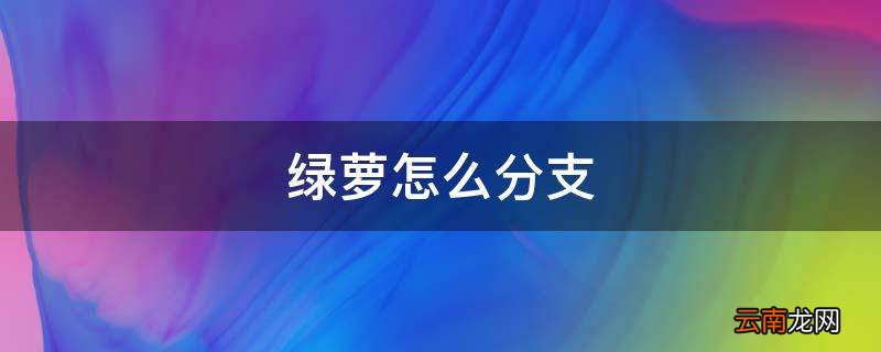 绿萝怎么分支