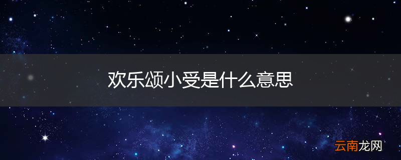 欢乐颂小受是什么意思