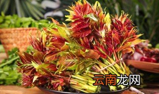 香椿冷冻一年可以吃吗 能不能吃保存一年的香椿