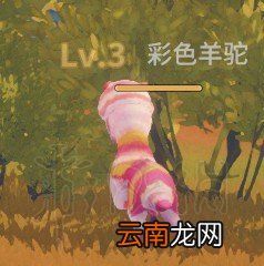 波西亚时光怪物掉落物品大全 波西亚时光全怪物掉落物品汇总 彩色羊驼