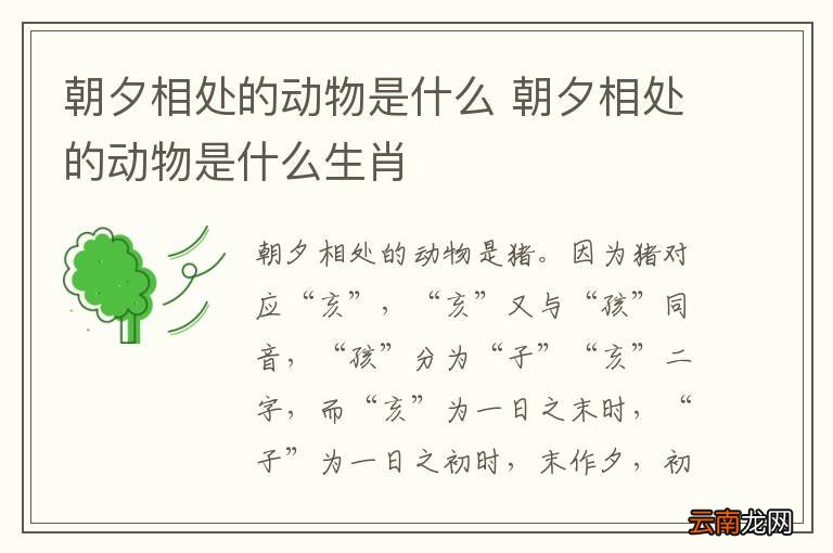 朝夕相处的动物是什么 朝夕相处的动物是什么生肖