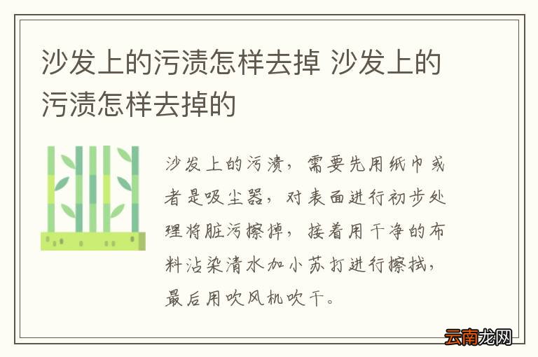 沙发上的污渍怎样去掉 沙发上的污渍怎样去掉的