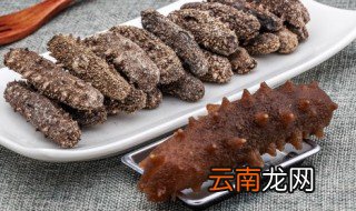 鲜海参放冰箱保存可以吗 鲜海参可以放冰箱冷冻吗