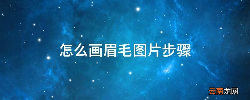 怎么画眉毛图片步骤