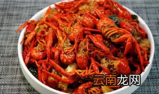 怎样挑选龙虾好吃 怎样挑选龙虾好吃的