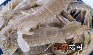 皮皮虾能冷冻储存多久 皮皮虾怎么保存