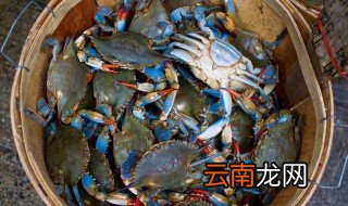 怎样挑选鲜梭子蟹好吃，怎样挑选鲜梭子蟹好吃视频