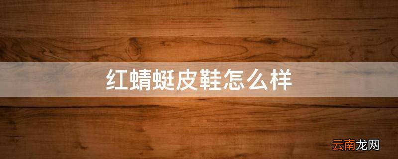 红蜻蜓皮鞋怎么样
