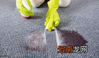 地毯太脏了用什么方法清洗呀 地毯的清洗技巧