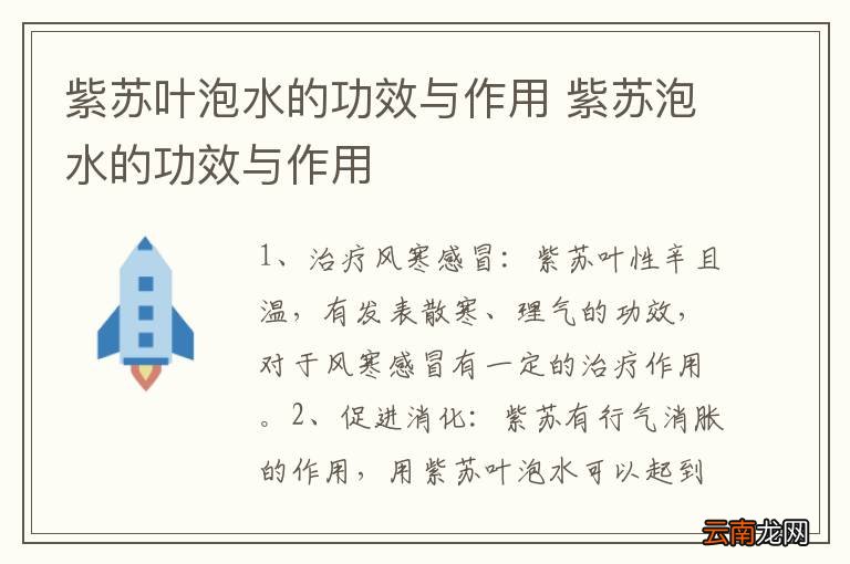 紫苏叶泡水的功效与作用 紫苏泡水的功效与作用