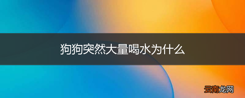 狗狗突然大量喝水为什么