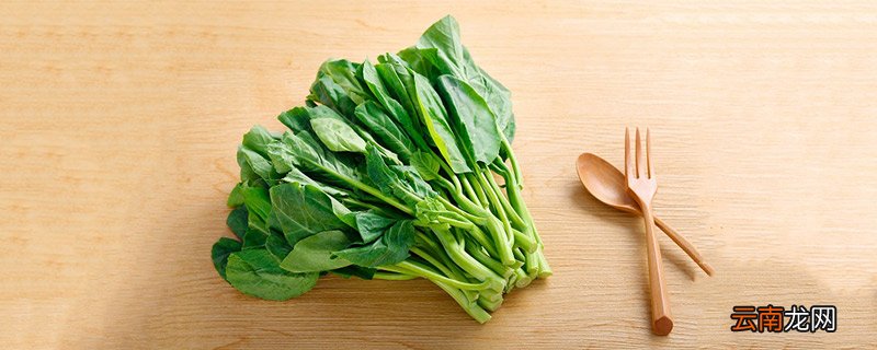 芥兰和芥蓝的区别 芥兰和芥蓝有什么区别