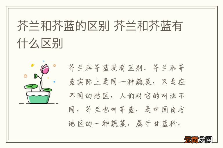 芥兰和芥蓝的区别 芥兰和芥蓝有什么区别