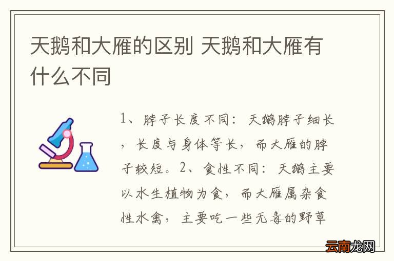 天鹅和大雁的区别 天鹅和大雁有什么不同