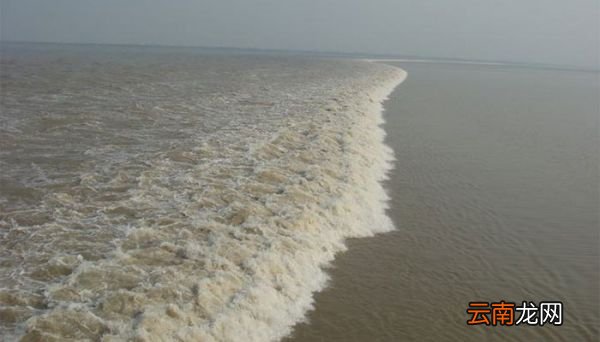 钱塘江入海口在哪里 钱塘江入海口在什么地方