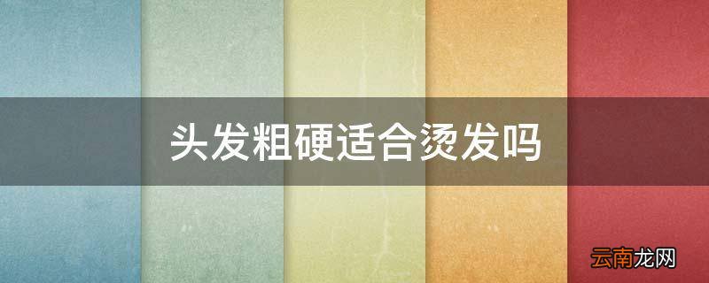 头发粗硬适合烫发吗