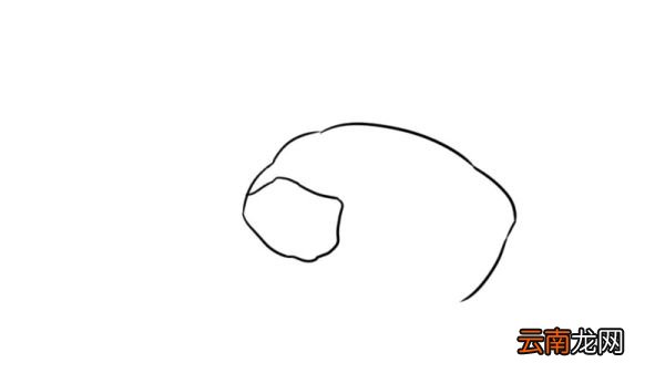 小虾的简笔画步骤小虾的简笔画教程