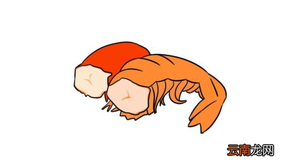 小虾的简笔画步骤小虾的简笔画教程
