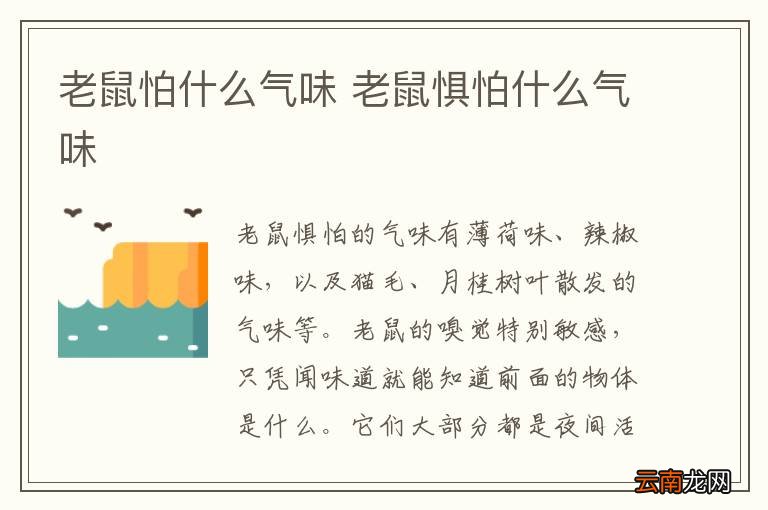 老鼠怕什么气味 老鼠惧怕什么气味
