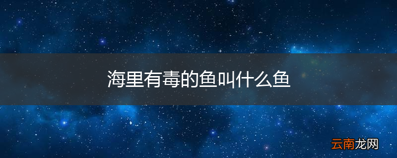 海里有毒的鱼叫什么鱼