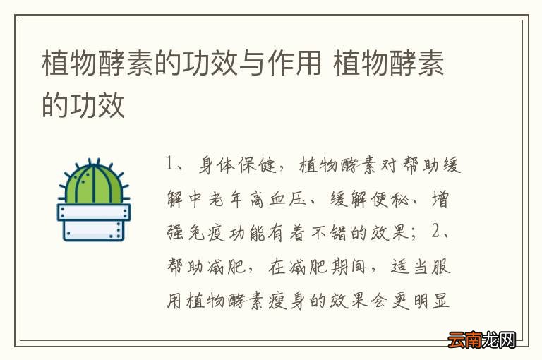 植物酵素的功效与作用 植物酵素的功效