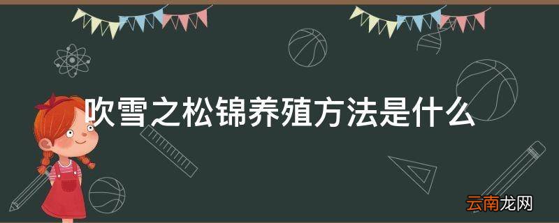 吹雪之松锦养殖方法是什么